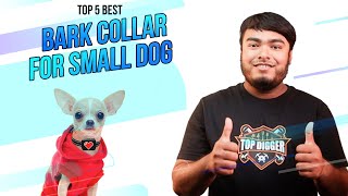 5 Best Collars for Small Dogs Review amp Buying Guide  Small Dog Bark Collar 2023 [upl. by Saxela]