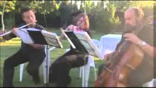 Beniel Murcia MUSICA para BODAS bautizos COMUNIONES MUSIC [upl. by Culver676]