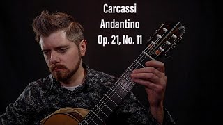 Matteo Carcassi  Andantino Op 21 No 11 [upl. by Nortad199]