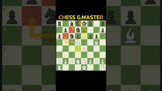 Check Checkmate chess chessgame chessurdu [upl. by Haem]