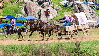 2022 Recap  National Championship Chuckwagon Races [upl. by Ennaesor]