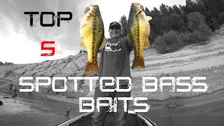 Top 5 Spotted Bass Baits [upl. by Dorie]