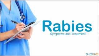 Rabies Symptoms and Treatment [upl. by Pavkovic603]