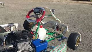 Tony Kart Racer 401s [upl. by Yllop263]