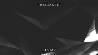 Zimmz  Pragmatic [upl. by Aggappera]