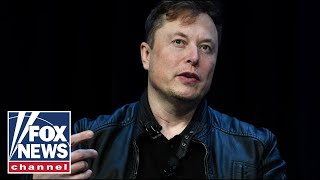 Elon Musk Were in deep trouble if Trump loses [upl. by Onahpets]