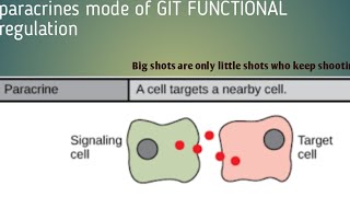 Paracrine mode of GIT regulation [upl. by Hamehseer]