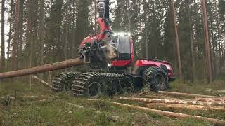 Komatsu 951 and C144 working in pine and spruce forest [upl. by Torras]