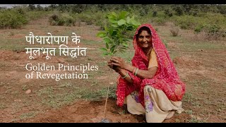 8 Golden Principles of Revegetation [upl. by Valentia98]