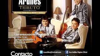 Los Ardiles  Tributo a los Grandes Tríos de la Música Criolla Audio Oficial [upl. by Dnomsaj]