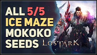 All 5 Ice Maze Mokoko Seed Locations Lost Ark [upl. by Araet]