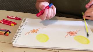 Beeswax VS Parafin Crayola Crayons [upl. by Colner627]