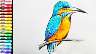 How to Draw A Kingfisher  Easy Kingfisher Drawing [upl. by Haleehs]