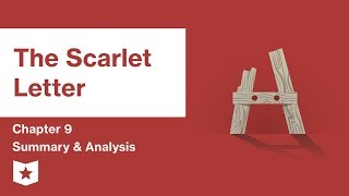 The Scarlet Letter  Chapter 6 Summary and Analysis  Nathaniel Hawthorne [upl. by Attegroeg964]