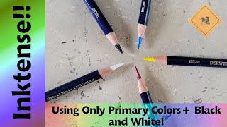 Using a Primary Color Palette with Derwent Inktense Pencils [upl. by Chloris]