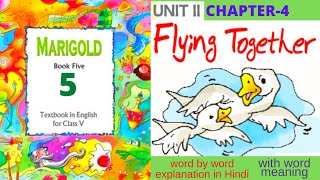 Class 5 English Chapter 4  Flying Together Class 5 English Chapter 4  Marigold Class 5 Chapter 4 [upl. by Nnylatsirk546]