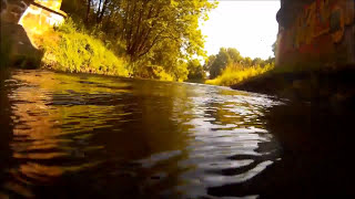 Unterwasser Aufnahmen der Innerste im Stadtgebiet Hildesheim [upl. by Dnalsor975]