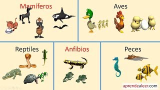 Animales vertebrados para niños mamiferos aves reptiles peces y anfibios [upl. by Josh621]