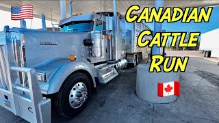 American Cattle Trucker Goes To Canada [upl. by Nodnart864]