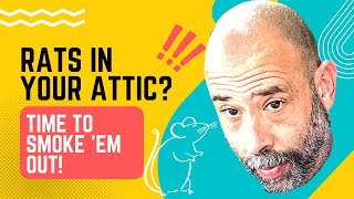 We find out how rats are getting into your attic when no one else can with smoke drain testing [upl. by Bocyaj]