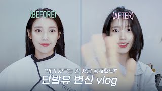 IU TV 머리 자르는 건 처음 공개해요 l 단발유 변신 vlog ✂️ [upl. by Nyrat402]