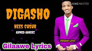 Axmed Aarshe  Digasho  Lyrics 2020 [upl. by Nahtaoj338]