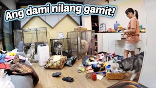 Nag ayos ng gamit sa Dog Room Unpacking amp Organizing [upl. by Eclud34]