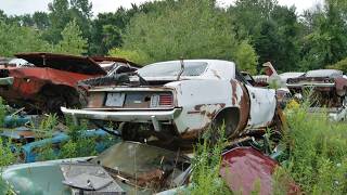 Incredible Collection of Mopars sitting in Junkyard [upl. by Tildy]