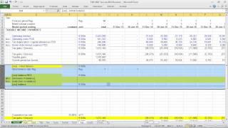 T201 Tax Loss Carryforwards [upl. by Wendie551]