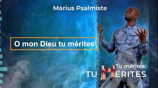 Marius Psalmiste  TU MERITES LYRIC [upl. by Tirreg148]