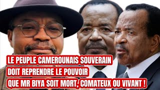 🛑LA SITUATION AU CAMEROUN 🇨🇲 👉🏿 LNALYSE ET LE DECRYPTGE DU DR WA CAMEROUN WA AFRIKA [upl. by Amerd512]