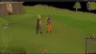 OSRS Hunter Guide Falconry [upl. by Sabir]