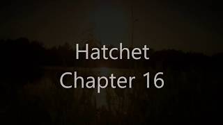 Hatchet Chapter 16 [upl. by Ebert826]