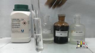 Layer Test for Bromide using Sodium Bromide [upl. by Ailsun314]