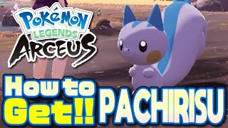 How to Get Pachirisu in Pokemon Legends Arceus Pachirisu Location [upl. by Airdnaz]