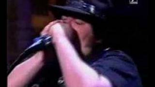 Blues Traveler  Crash Burn LIVE [upl. by Aldarcy412]