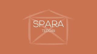 Teddibi  Spara Lyrics [upl. by Drofwarc604]