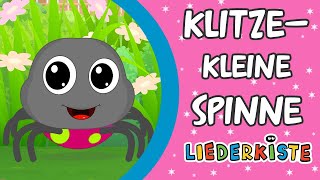 Klitzekleine Spinne  Kinderlieder zum Mitsingen  Liederkiste [upl. by Enail]