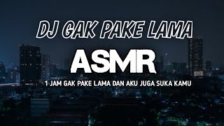 1 Jam DJ Gak Pake Lama Dan Aku Juga Suka Kamu [upl. by Helene]