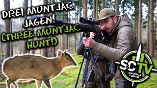 SampC TV  3 muntjac deer hunt  Deer management with Chris Rogers 21 [upl. by Doehne]