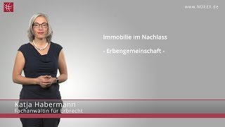 Immobilie im Nachlass  Erbengemeinschaft  NDEEX [upl. by Nnilsia]