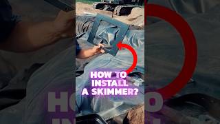 Installing a Pond Skimmer💦 Quick Overview pond koipond skimmer install Aquascape [upl. by Novyar]