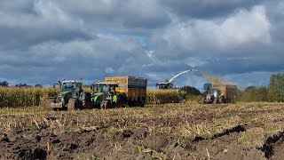 ensilage de maïs 2023 conditions extrême [upl. by Staford]