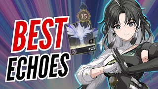 FASTEST WAY TO GET BEST ECHOES  WUTHERING WAVES GUIDE [upl. by Aisatal54]