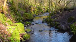 Nature Sound Effects  Water Stream in the River SFX Audio Background [upl. by Cullie]