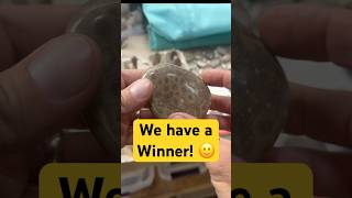 Petoskey Stone Giveaway [upl. by Enohsal4]