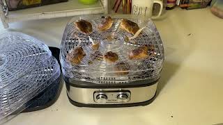 Best Dehydrator for Mushrooms [upl. by Gilliette]