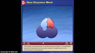 How Enzymes Work Animation [upl. by Aleil]