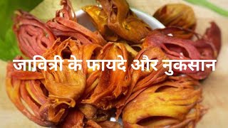 जावित्री के फायदे और नुकसान  javitri khane ke fayde or nuksan  javitri benefits [upl. by Rehc284]