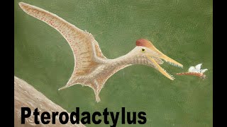 Pterodactylus painting timelapse [upl. by Lev]